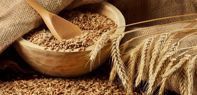 <b> На хлібоприймальні підприємства Черкащини надійшов мільйон тонн зерна</b>