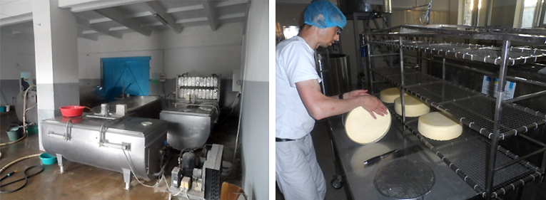 Молочний кооператив на Монастирищині реалізуватиме продукцію під власним брендом