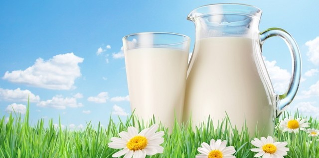 Найдорожче молоко купують у Полтавській та Черкаській областях