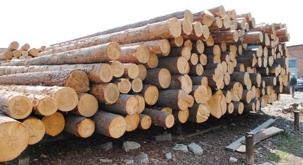 У Черкасах на аукціоні реалізували 100% виставленої деревини