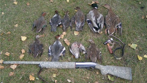 За місяць на Черкащині виявили 36 порушників правил полювання